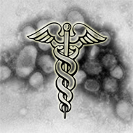 Flu Shot