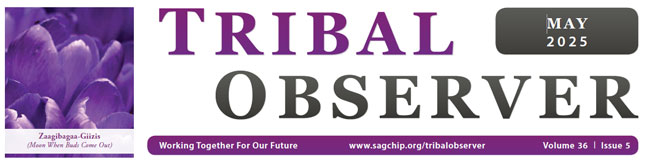 tribalobserver